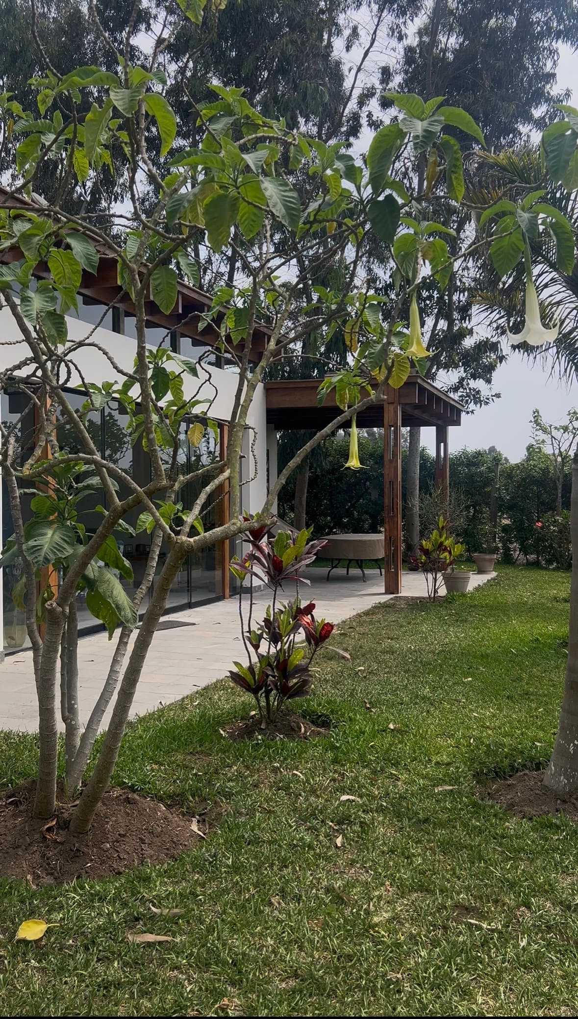 Villa El Ensueño - Imagen 13 de 14